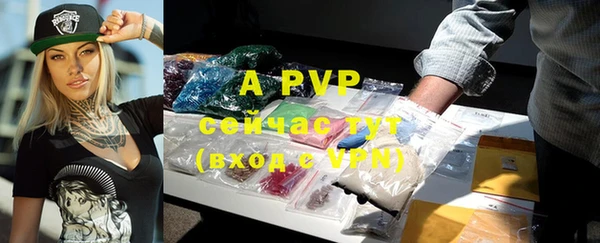 apvp Алзамай