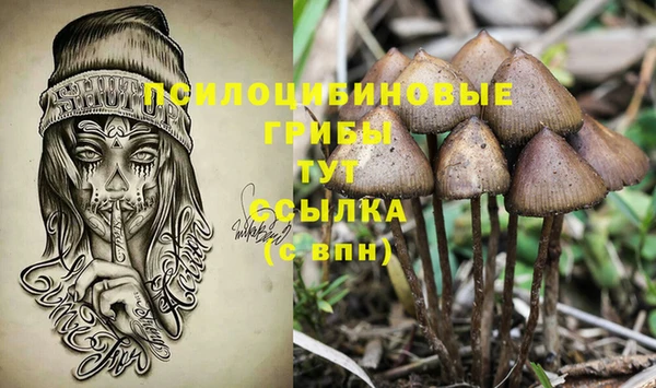 ПСИЛОЦИБИНОВЫЕ ГРИБЫ Алексин
